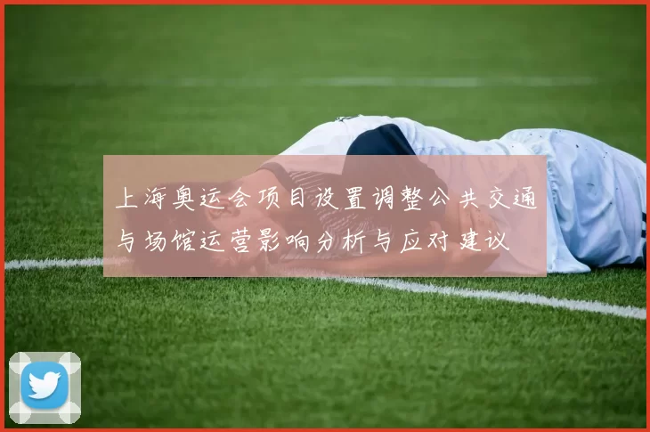 上海奥运会项目设置调整公共交通与场馆运营影响分析与应对建议