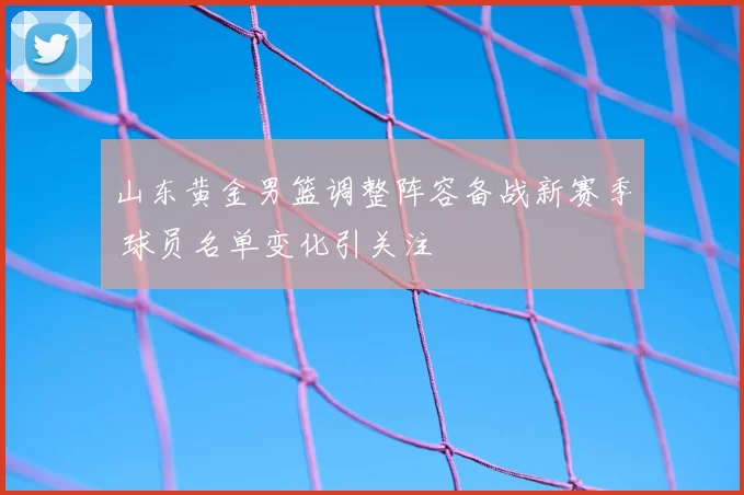 山东黄金男篮调整阵容备战新赛季 球员名单变化引关注