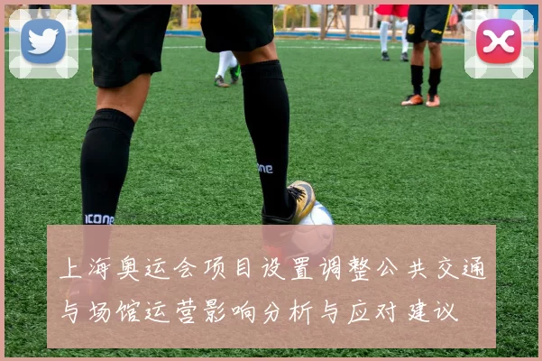 上海奥运会项目设置调整公共交通与场馆运营影响分析与应对建议