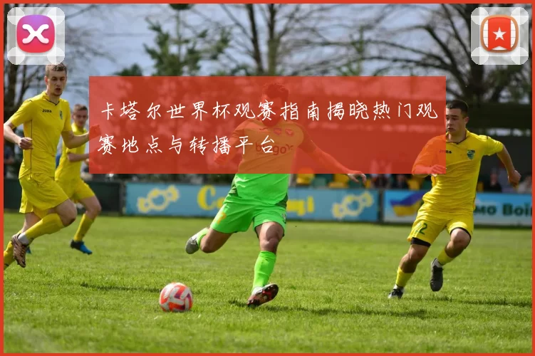 卡塔尔世界杯观赛指南揭晓热门观赛地点与转播平台