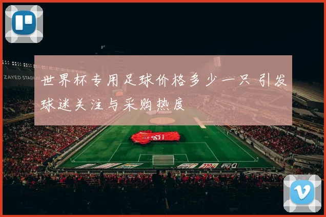世界杯专用足球价格多少一只 引发球迷关注与采购热度