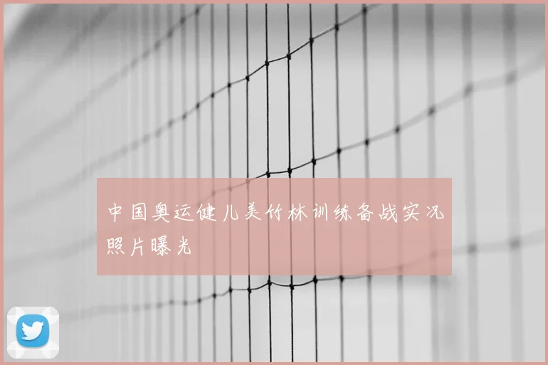中国奥运健儿美竹林训练备战实况照片曝光
