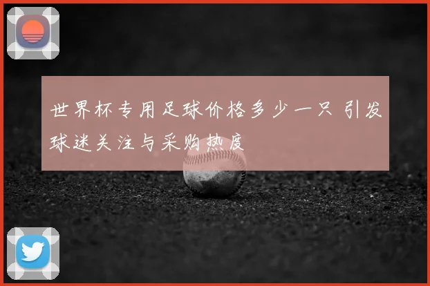 世界杯专用足球价格多少一只 引发球迷关注与采购热度